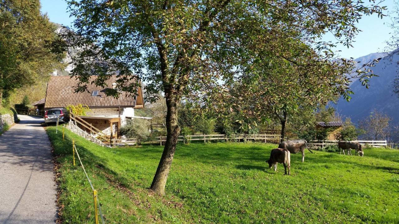 מולינה די לדרו Chalet La Nos חדר תמונה